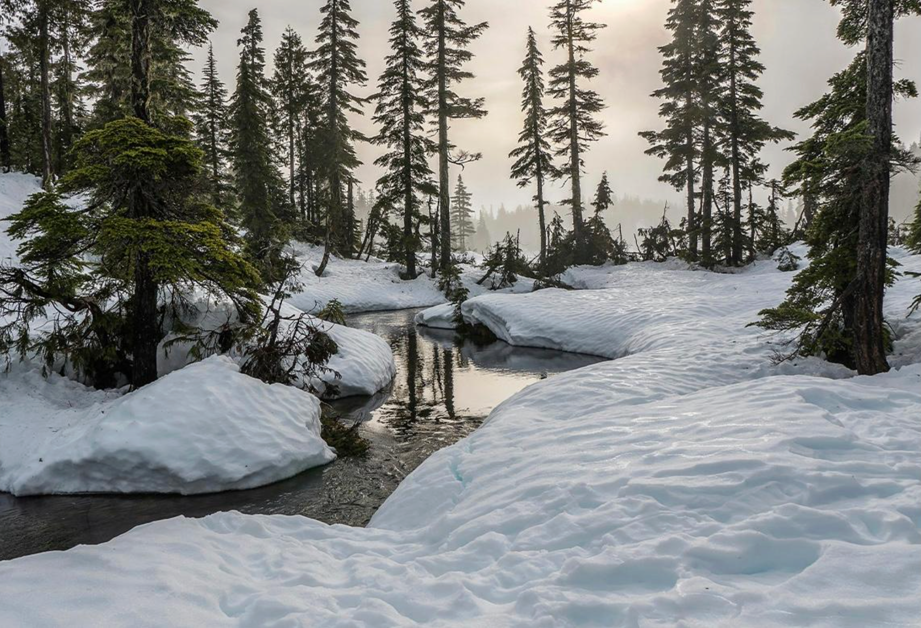 Så koldt skal dit isbad være
